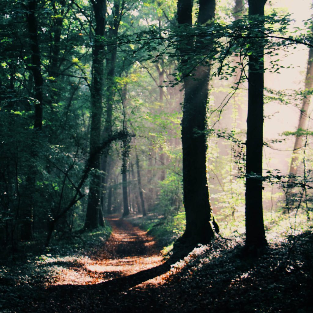Guide : Meditation