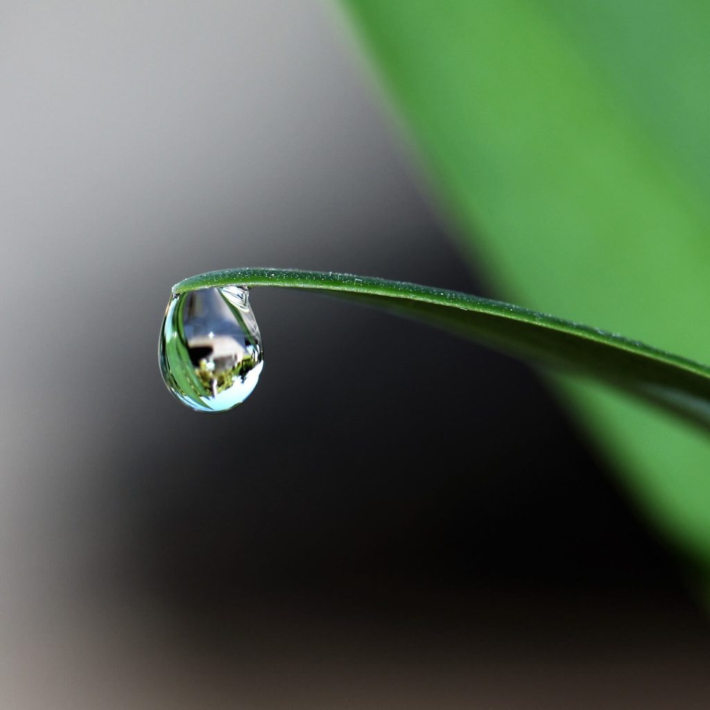 Presence : Meditation